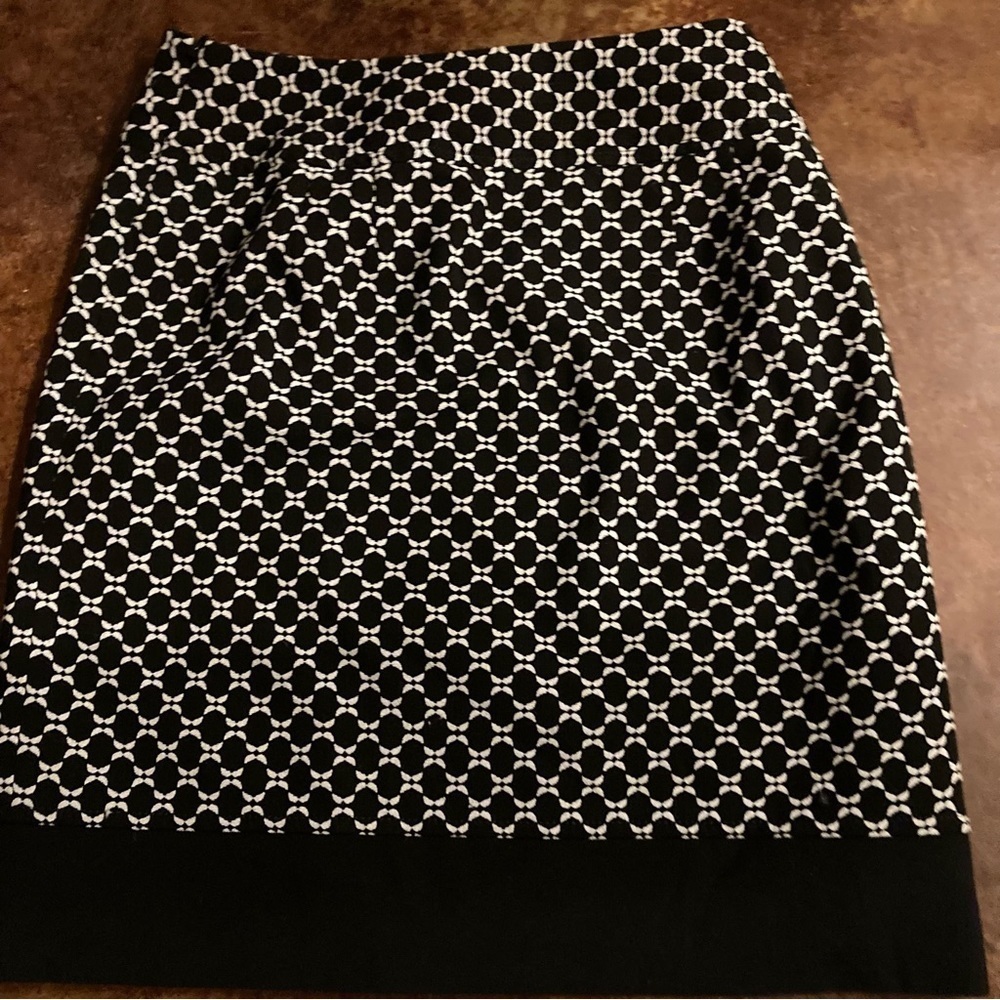 Ladies Ann Taylor Petite Career Skirt